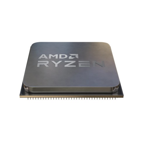10861-AMD Ryzen 5 5500 procesador 3,6 GHz 16 MB L3 Caja
