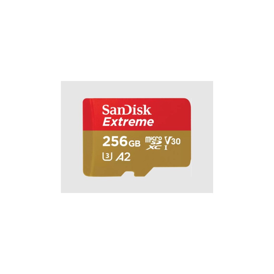 11287-SanDisk Extreme 256 GB MicroSDXC UHS-I Clase 3 11287-SanDisk Extreme 256 GB MicroSDXC UHS-I Clase 3