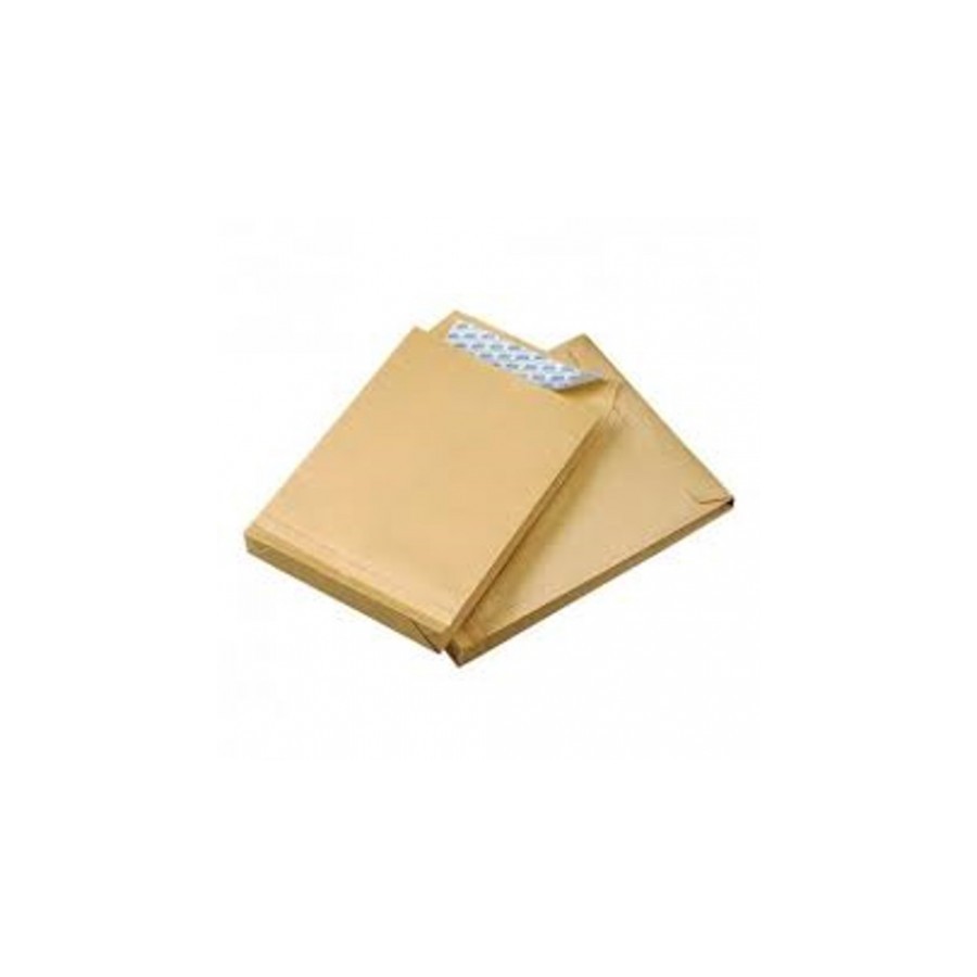 1262-CAJA 250 BOLSAS DIN C4 (229X324) BOLSA FUELLE 229X324X30 KRAFT 120 GRS. FUELLE 3 LADOS - AUTOSAM TIRA SILICONA SAM 1262-CAJA 250 BOLSAS DIN C4 (229X324) BOLSA FUELLE 229X324X30 KRAFT 120 GRS. FUELLE 3 LADOS - AUTOSAM TIRA SILICONA SAM