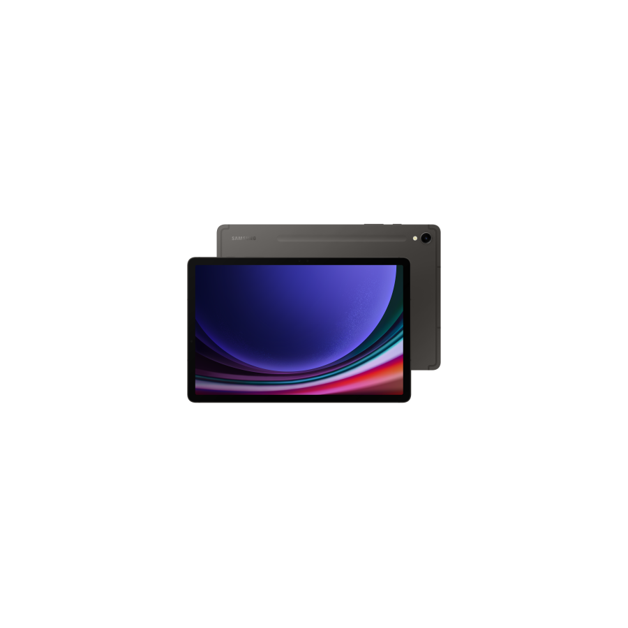 13786-SAMSUNG GALAXY TAB S9 WIFI 8/128 GRAY