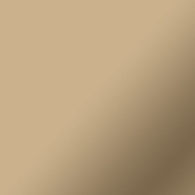 Cricut Matte Metallic Permanent Rollo de vinilo de termotransferencia