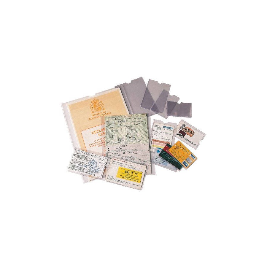 1736-CAJA 100 FUNDAS PORTACARNETS EN PVC FORMATO (171X221 MM.) TRANSPARENTE ESSELTE 46010 1736-CAJA 100 FUNDAS PORTACARNETS EN PVC FORMATO (171X221 MM.) TRANSPARENTE ESSELTE 46010