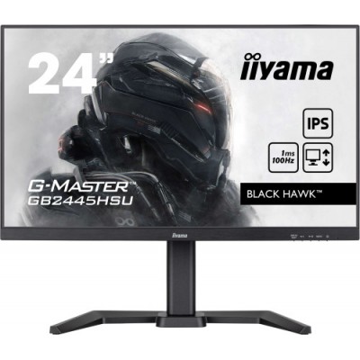 MONITOR IIYAMA IPS 100HZ 300CD