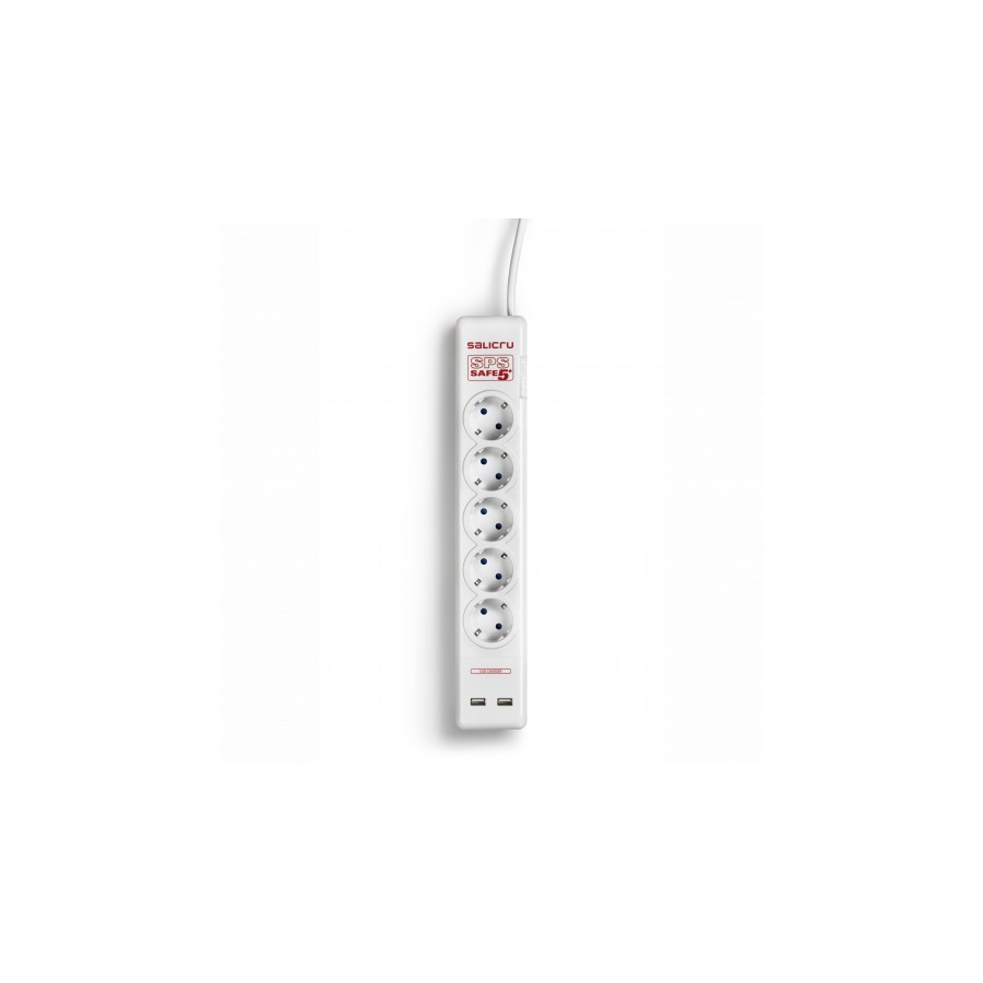 22172-Salicru SPS SAFE 5+
