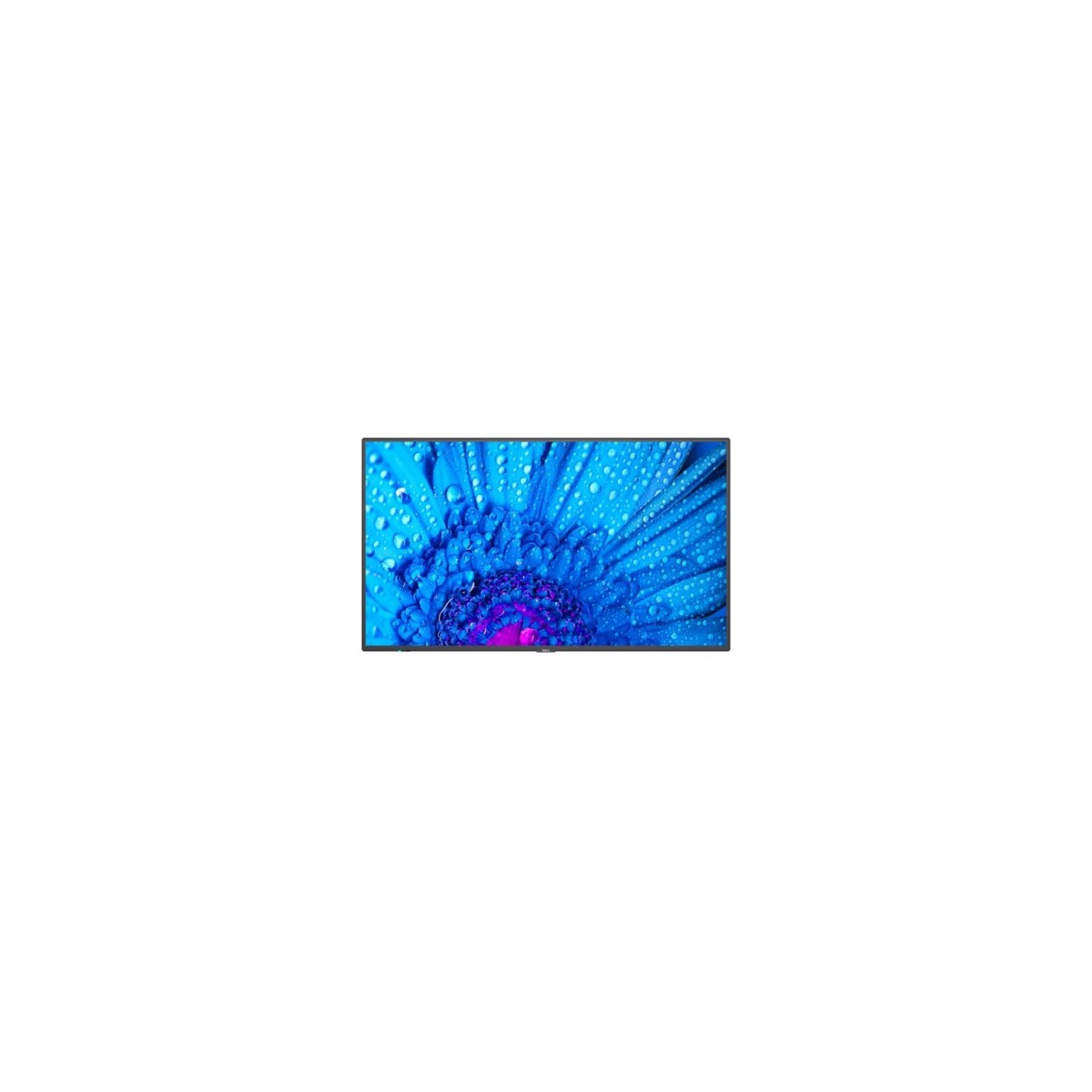 NEC MultiSync M751 Pantalla plana para senalizacion digital 1905 cm 75 LCD 500 cd m 4K Ultra HD Negro 24 7
