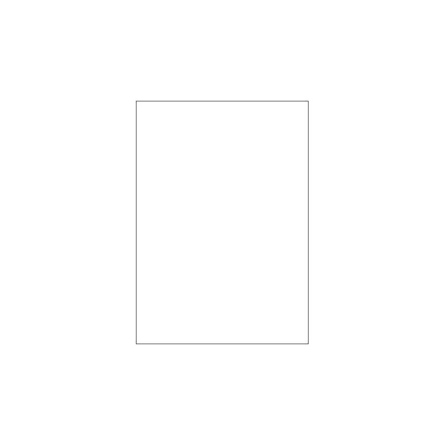 2404-CAJA 100 HOJAS ETIQUETAS BLANCAS SIN MARGENES-LASER/INYECCION DE TINTA/FOTOCOPIADORAS-210X297 MM MEGASTAR LP4MS-210
