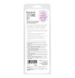 29279-SET LETTERING DE CALIGRAFIA MODELO BEGINNER TOMBOW LS-BEG