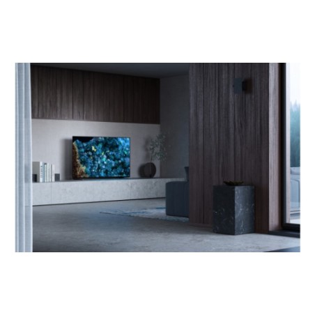 30100-Sony FWD-55A80L Televisor 139,7 cm (55") 4K Ultra HD Smart TV Wifi Negro