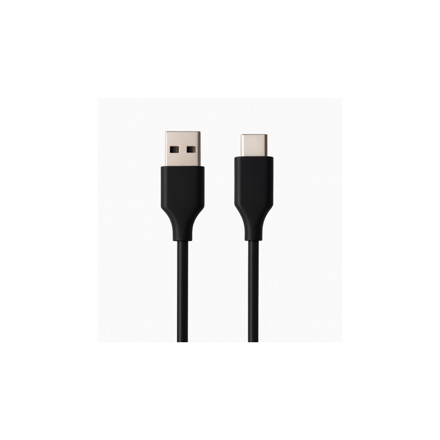 31251-Ewent EC1131 cable USB USB 2.0 2 m USB A USB C Negro