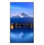 33940-SHARP PROFESSIONAL LARGE FORMAT DISPLAYS MODEL PN-P436, 43" P-SERIES LARGE FORMAT DISPLAY, UHD, 700CD/M2, D-LED BA