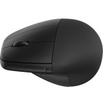 33986-HP Raton 245 Bluetooth