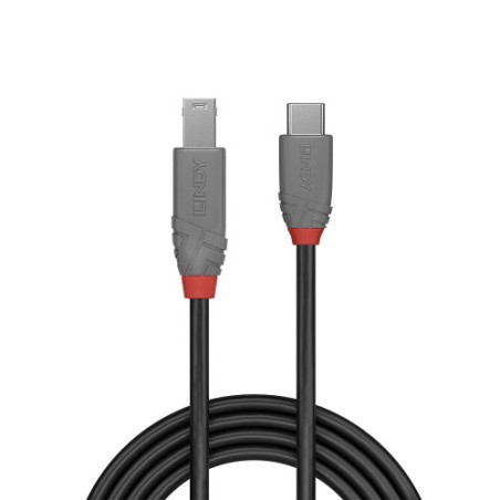 36490-Lindy 36665 cable USB USB 3.2 Gen 1 (3.1 Gen 1) 0,5 m USB C USB B Negro