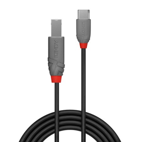 36704-Lindy 36941 cable USB USB 2.0 1 m USB C USB B Negro