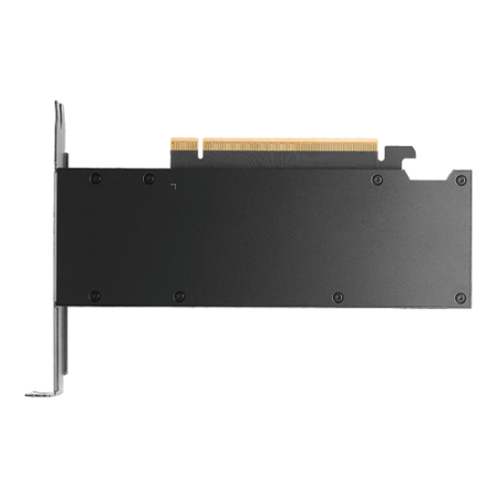 39111-PNY RTX PRO 2000 Blackwell NVIDIA 16 GB GDDR7