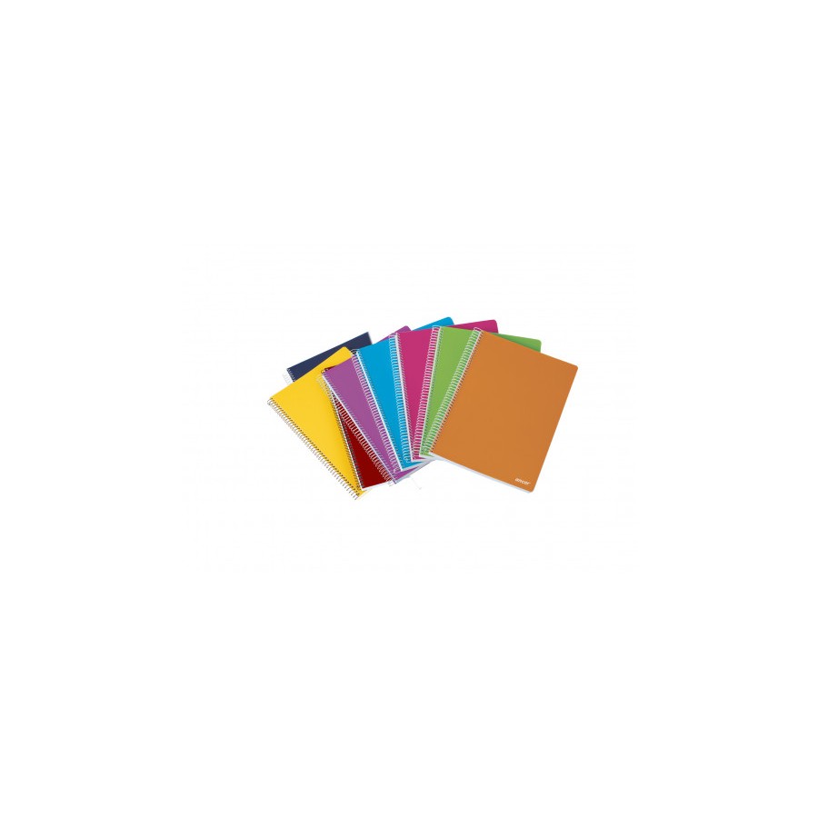 7096-CUADERNO TAPA POLIPROPILENO FOLIO CST 80 HOJAS 90G Q4X4 ST ANCOR 058505 7096-CUADERNO TAPA POLIPROPILENO FOLIO CST 80 HOJAS 90G Q4X4 ST ANCOR 058505