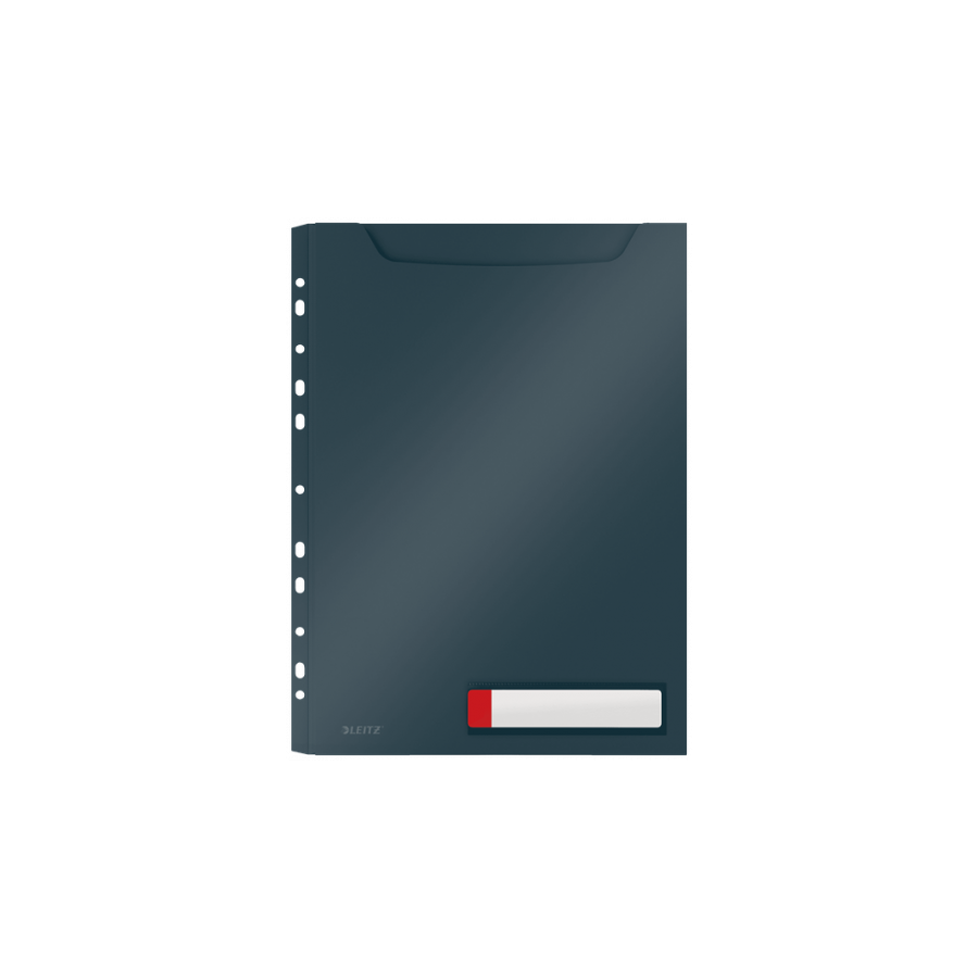 7519-P-3 FUNDA PRIV. COSY GRAN CAPACIDAD GRIS LEITZ 46680089 7519-P-3 FUNDA PRIV. COSY GRAN CAPACIDAD GRIS LEITZ 46680089