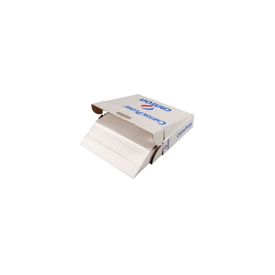 7743-CARTON PLUMA A3 5MM BL CANSON C205154223