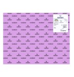 7753-PACK 25 HOJAS CARTULINA IRIS 50X65 185G LILA CANSON C200040230