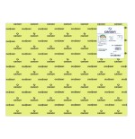 7757-PACK 25 HOJAS CARTULINA IRIS 50X65 185G VERDE MANZANA CANSON C200040237