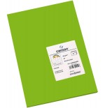 7767-PACK 50 HOJAS CARTULINA IRIS A3 185G VERDE BILLAR CANSON C200040208