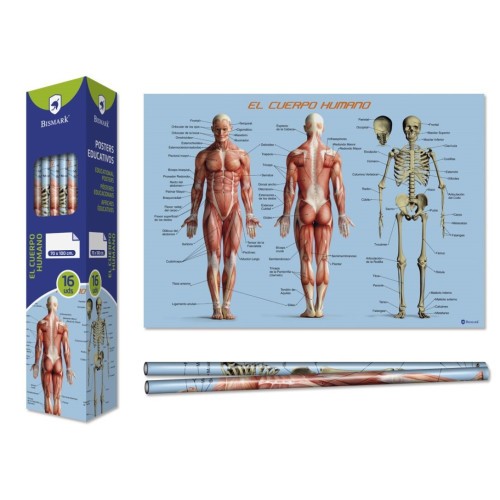 8667-Bismark Poster Cuerpo Humano 70 x 100 cm