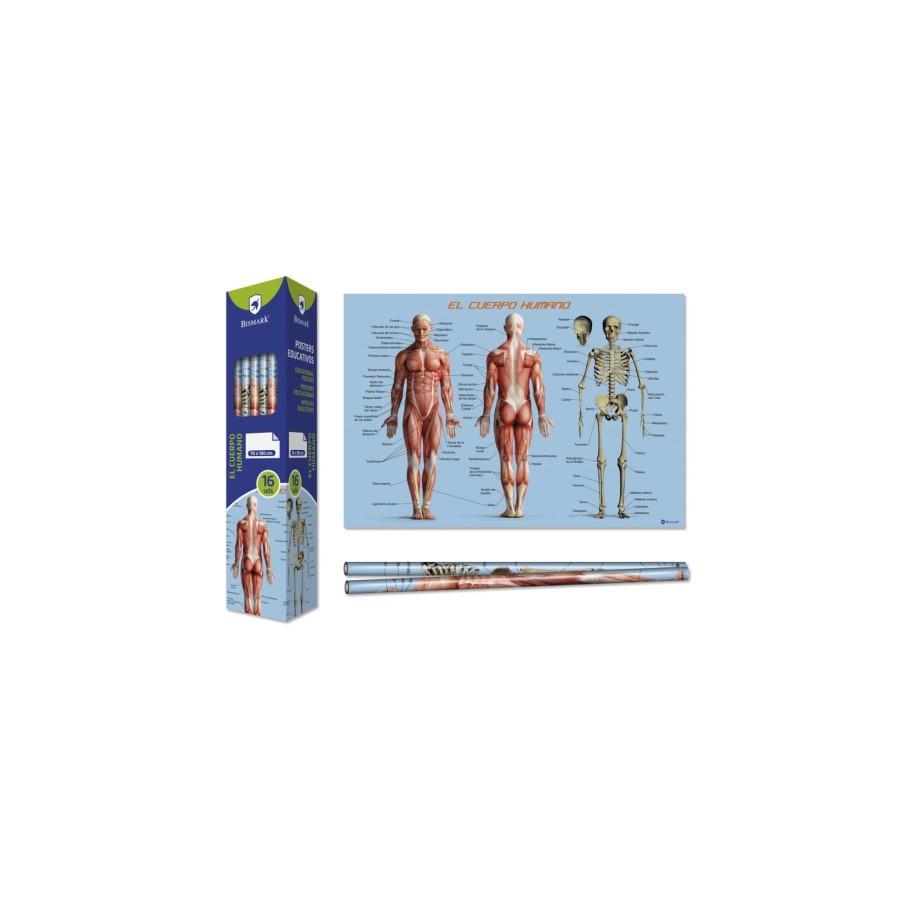 8667-Bismark Poster Cuerpo Humano 70 x 100 cm 8667-Bismark Poster Cuerpo Humano 70 x 100 cm