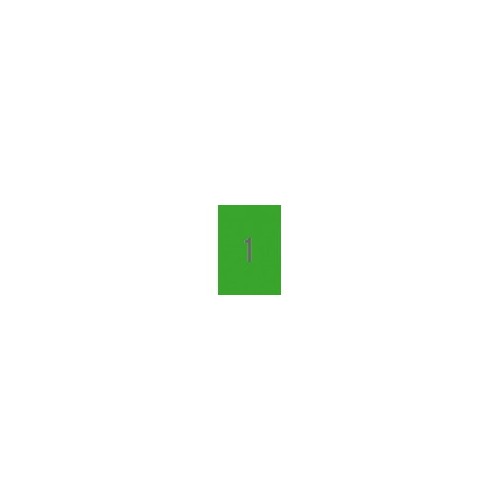 9715-PACK 20 HOJAS (20 UDS) ETIQUETAS VERDES 210X297MM APLI 1602.