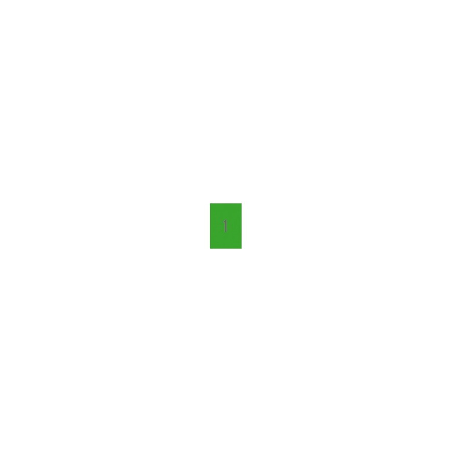 9715-PACK 20 HOJAS (20 UDS) ETIQUETAS VERDES 210X297MM APLI 1602. 9715-PACK 20 HOJAS (20 UDS) ETIQUETAS VERDES 210X297MM APLI 1602.