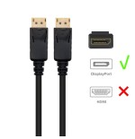 9751-Ewent EC1407 cable DisplayPort 3 m Negro