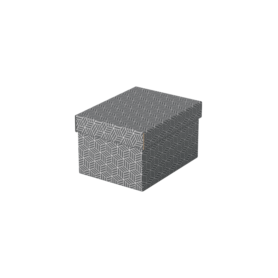 9909-PACK 3 CAJAS GRISES 255X200X150MM ESSELTE 628281