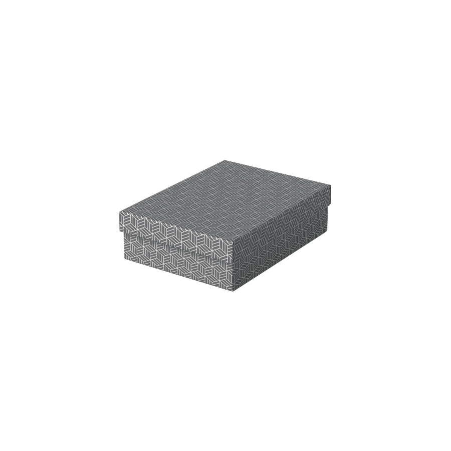 9913-PACK 3 CAJAS GRISES 360X265X100MM ESSELTE 628285